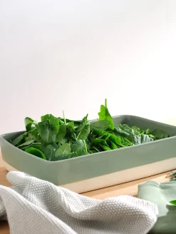 auflaufform rechteckig, sage