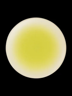 dessertteller koi by tim raue