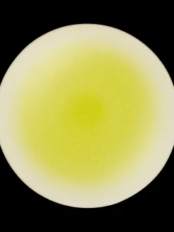 platzteller koi by tim raue