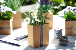 stiefmütterchen in papier