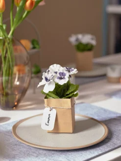 stiefmütterchen in papier, 6er set